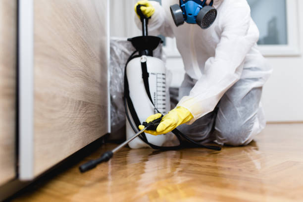 Best Best Pest Control Companies  in Tishomingo, OK