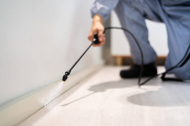 Best Termite Control Services  in Tishomingo, OK