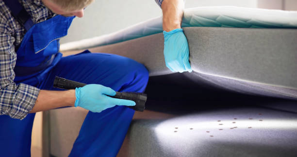 Best Wasp Removal Services  in Tishomingo, OK